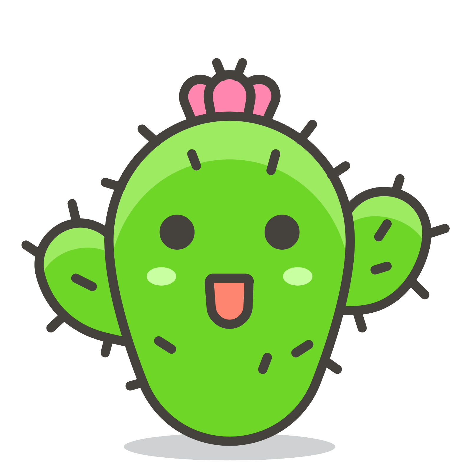 Finding cactuses on aerial footage